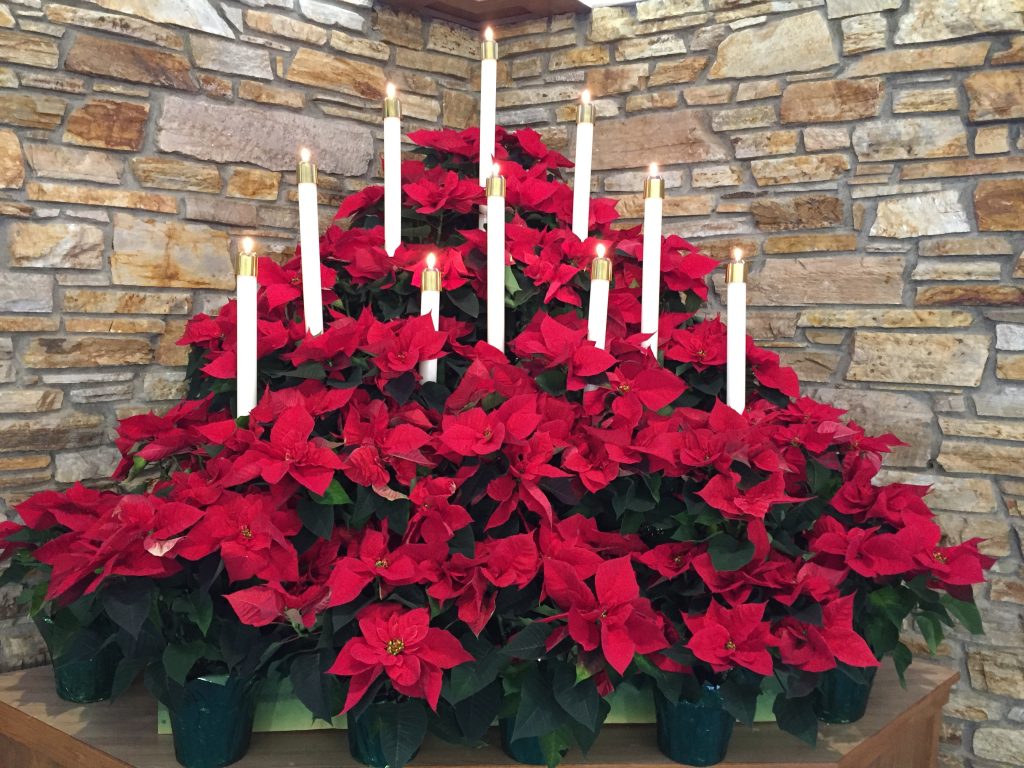 2CFAC0C9-BFC8-4FD5-816E-934A4D09120A